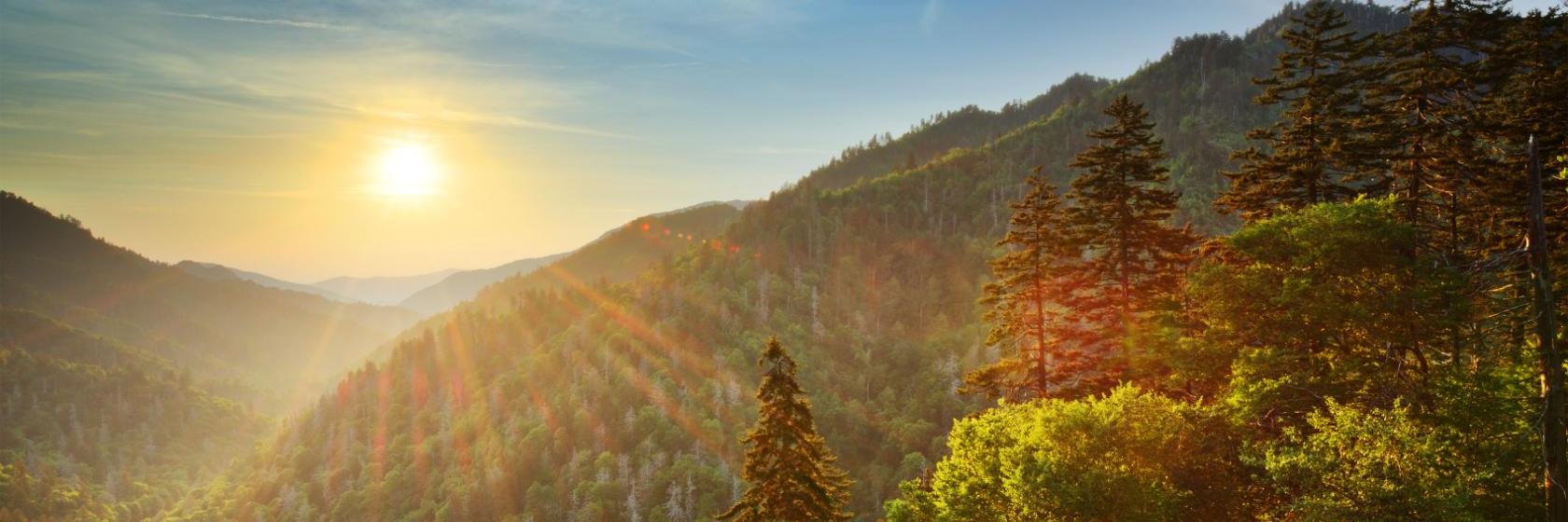 Chestnut Tree Inn  Cherokee