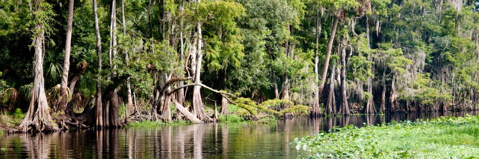 River Park Inn  Green Cove Springs