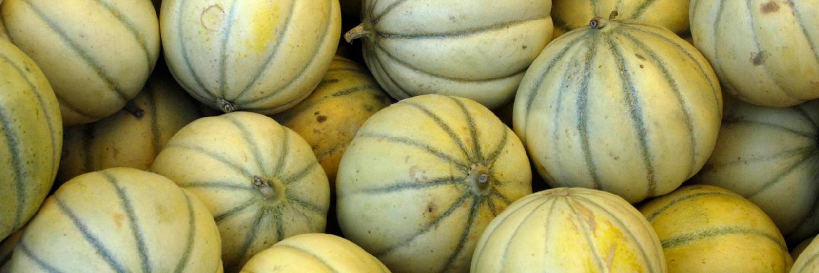 The best available hotels & places to stay near BriesousArchiac, France