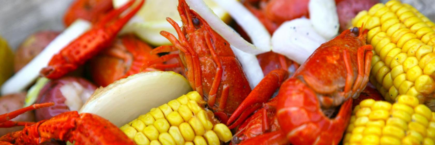 Howard Johnson Express Inn Iowa LA