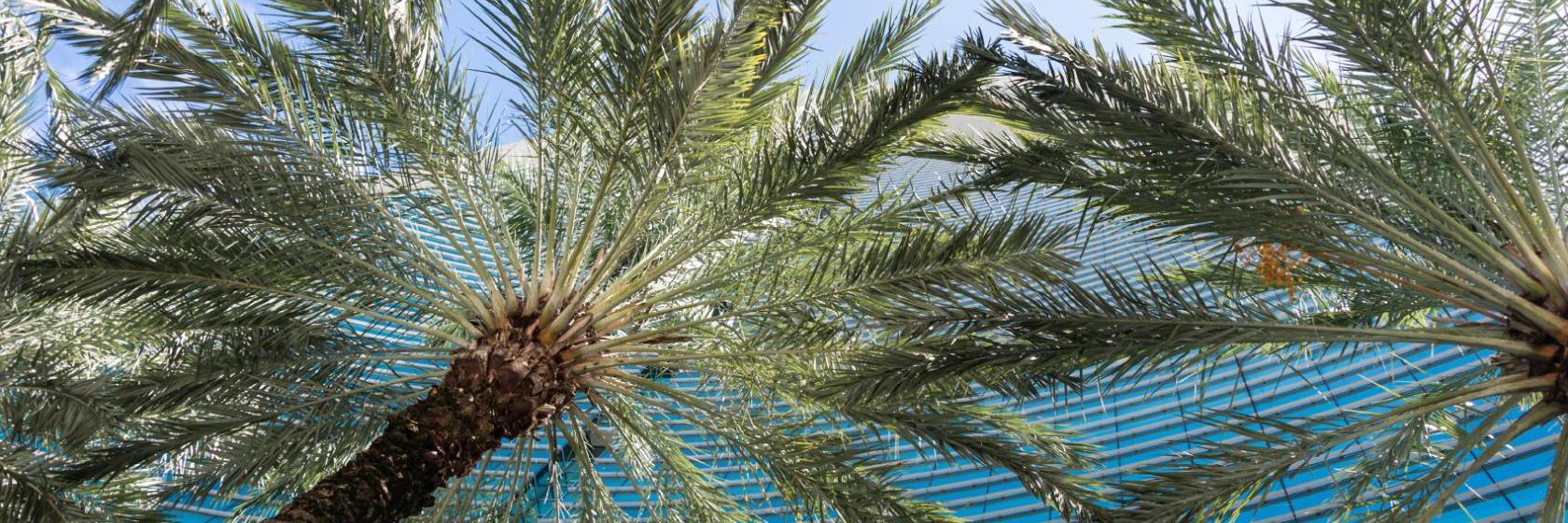 Seabonay Beach Resort