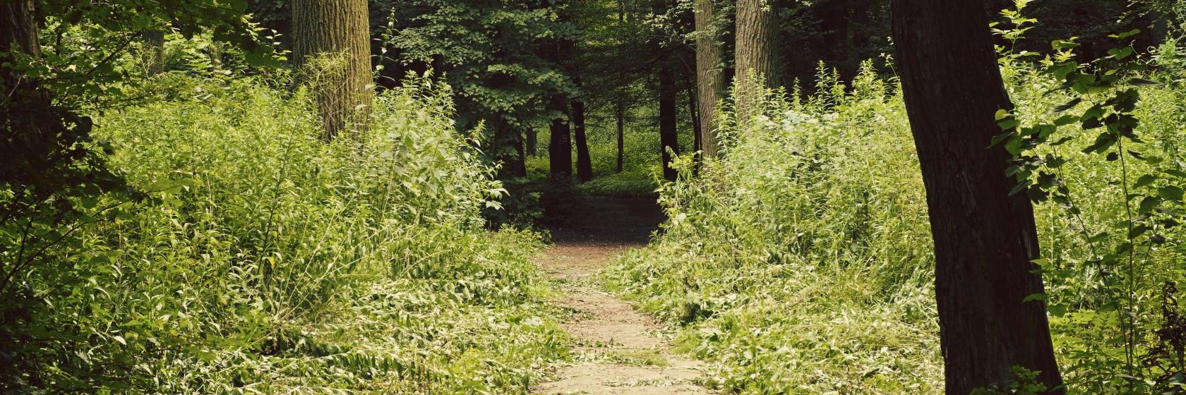 Comfort Inn Laurinburg