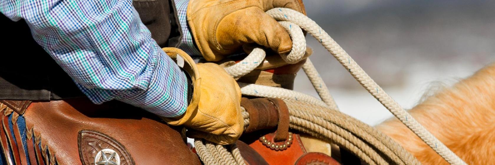 Victorian Inn Athens