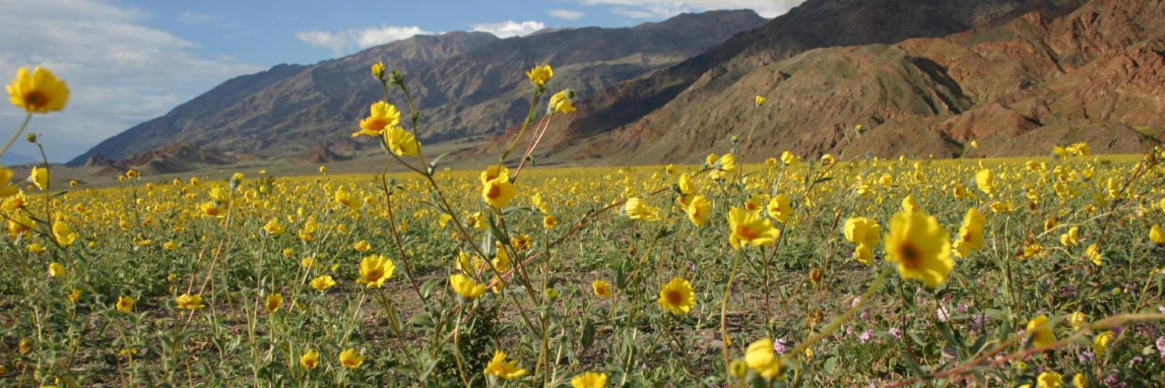 The best available hotels & places to stay near Beatty, NV