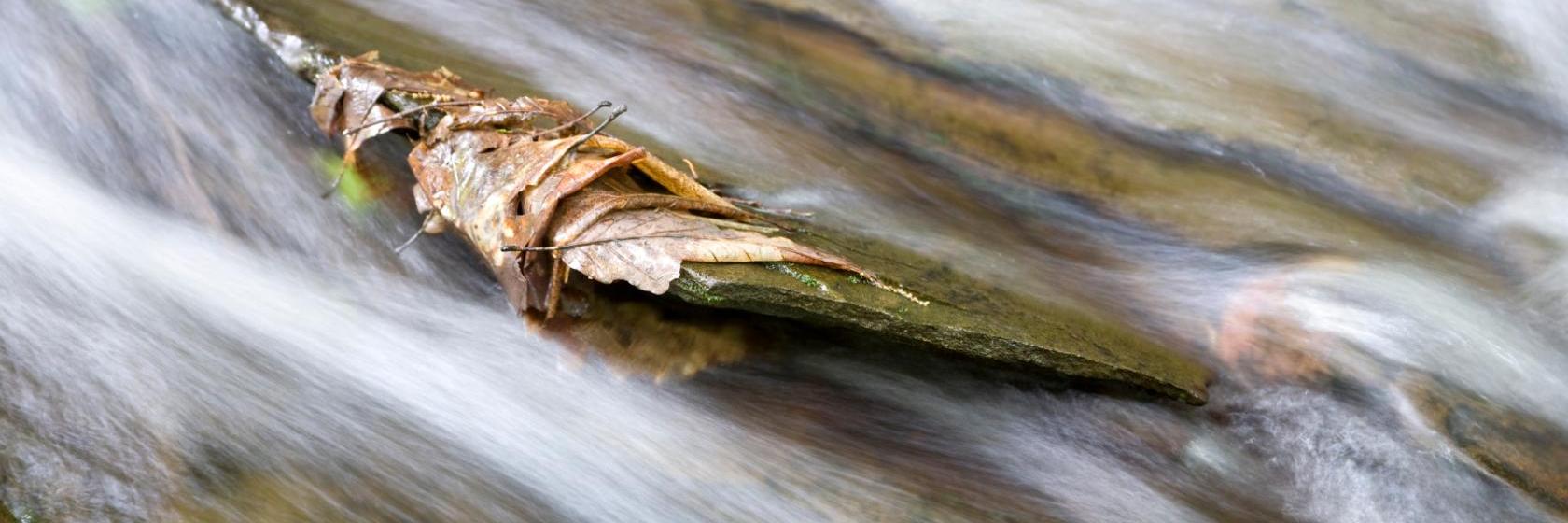 The 1850 House Inn and Tavern