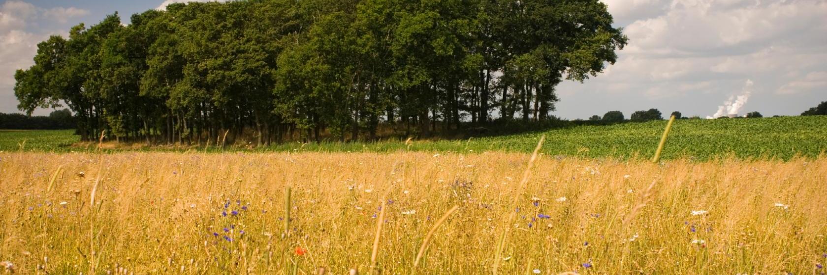 The best available hotels & places to stay near Klein Reken, Germany