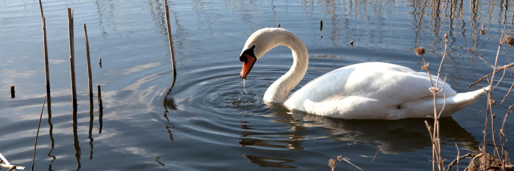 The best available hotels & places to stay near Eaglesham Eaglesham