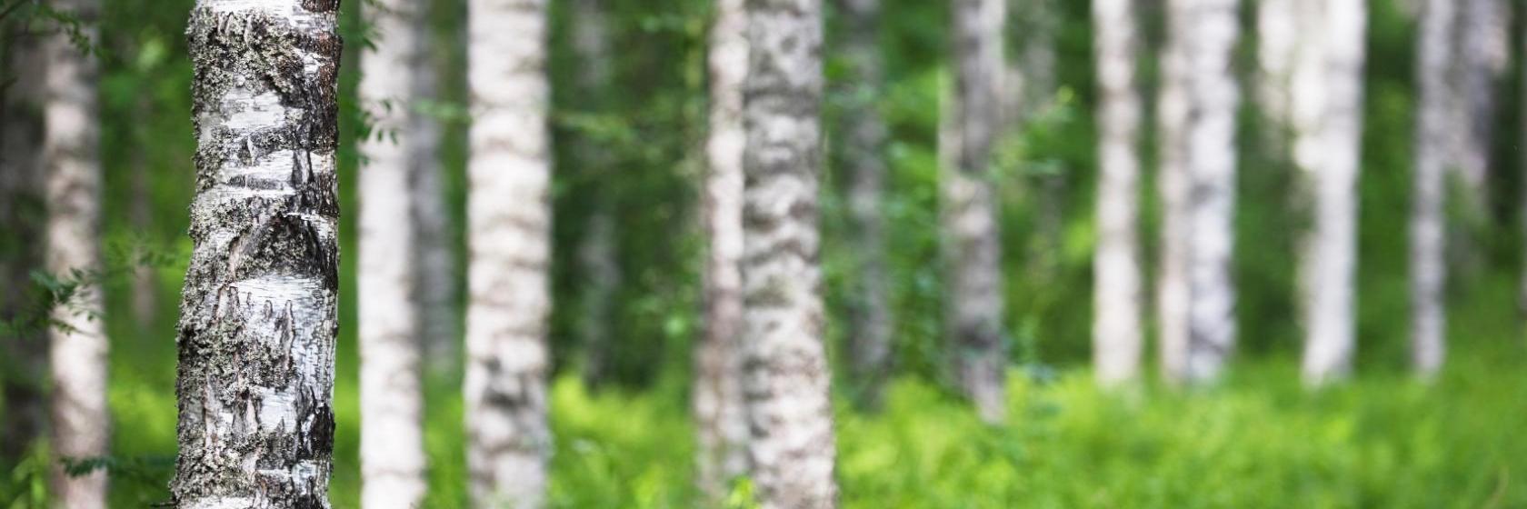 The best available hotels & places to stay near Virrat, Finland