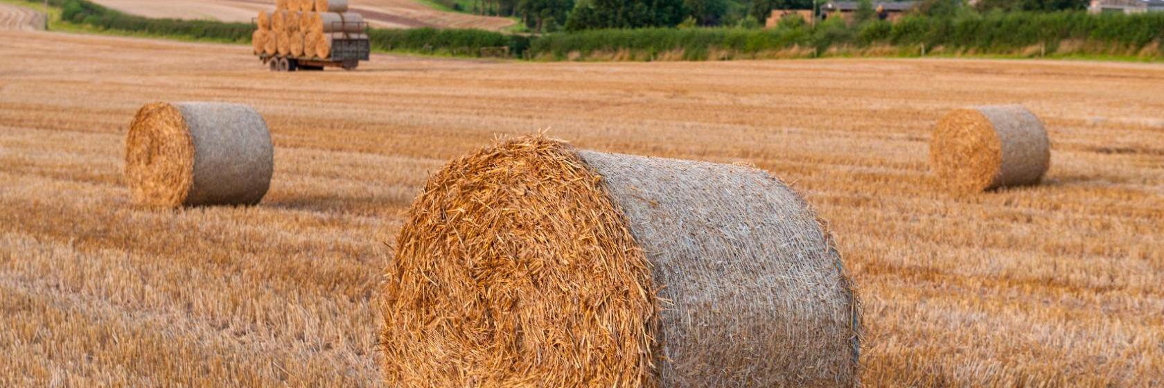 The best available hotels & places to stay near Barton under Needwood