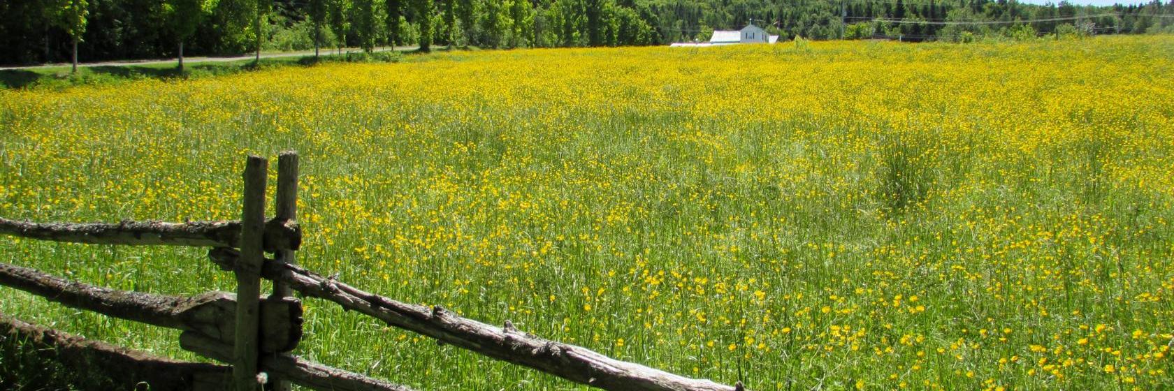 Hôtels à SaintPhilémon. Hôtels avec Meilleur Prix Garanti !