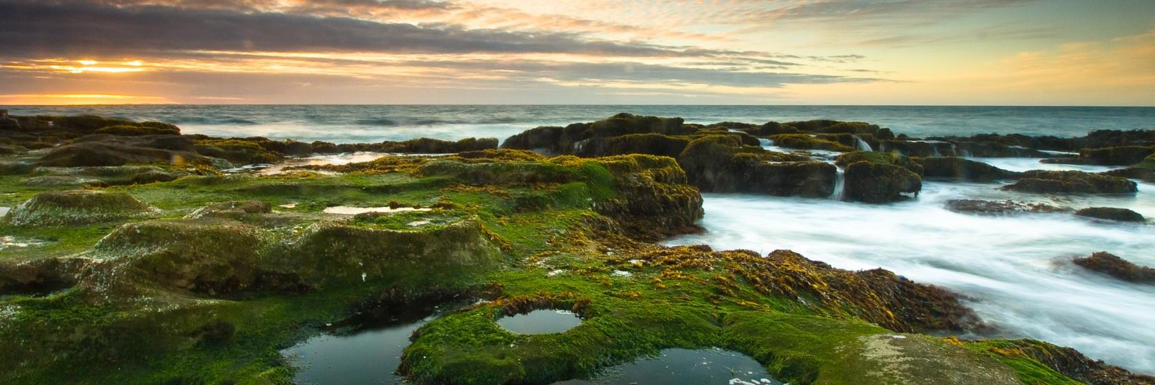 Coronel チリ の人気ホテルをお得に予約