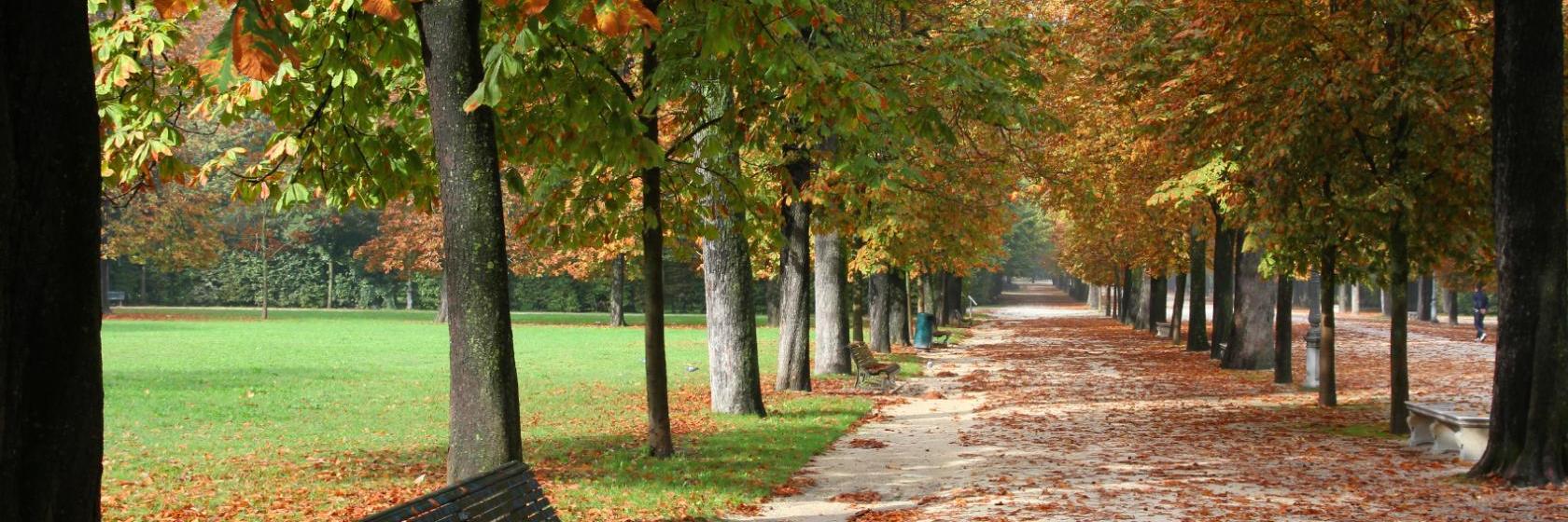 The 10 best hotels & places to stay in Spinea, Italy Spinea hotels