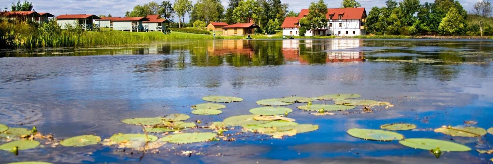10 Best Saldus Hotels, Latvia (From $45)