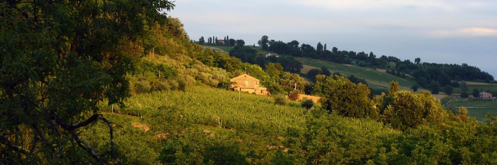 The best available hotels & places to stay near Camerata Picena, Italy