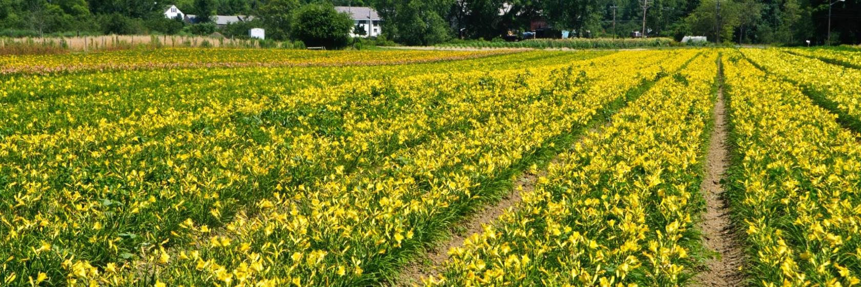 The best available hotels & places to stay near South Deerfield, MA