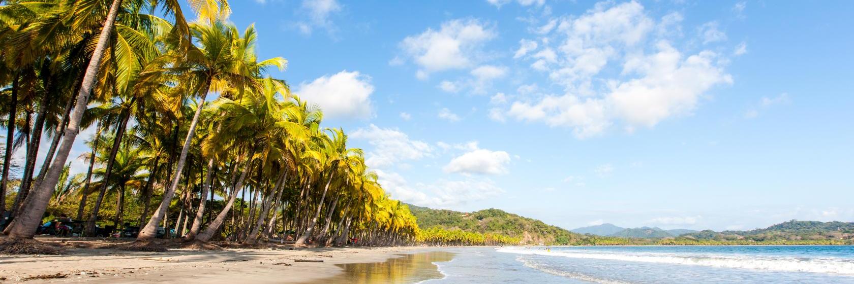 El Jobo コスタリカ の人気ホテルをお得に予約