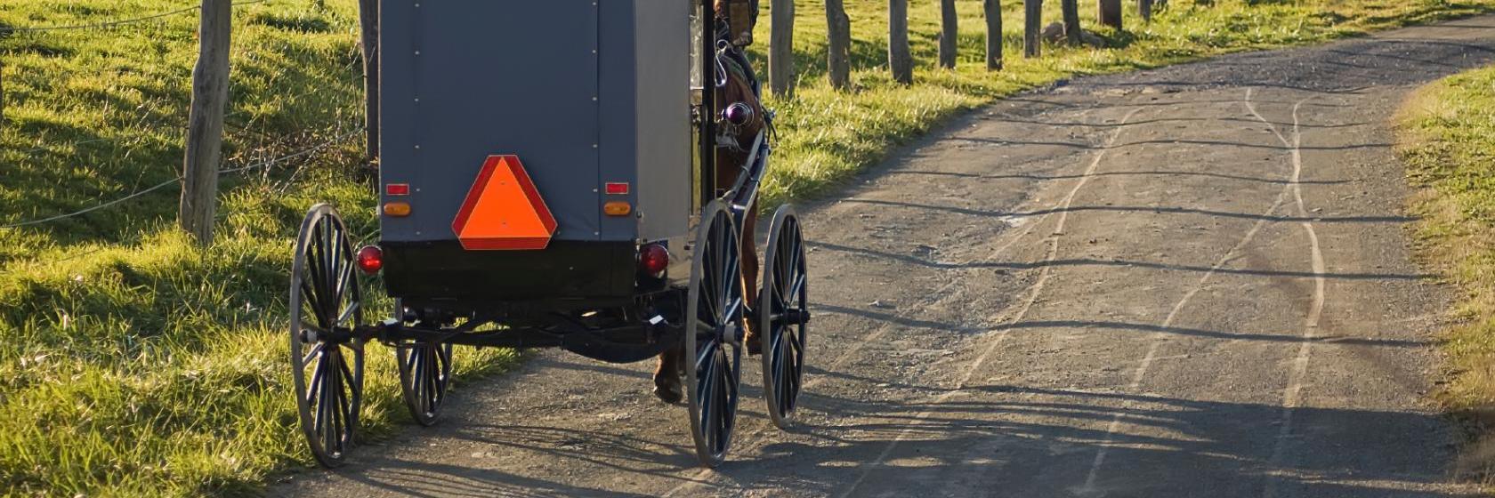 Harvest Moon Bed and Breakfast