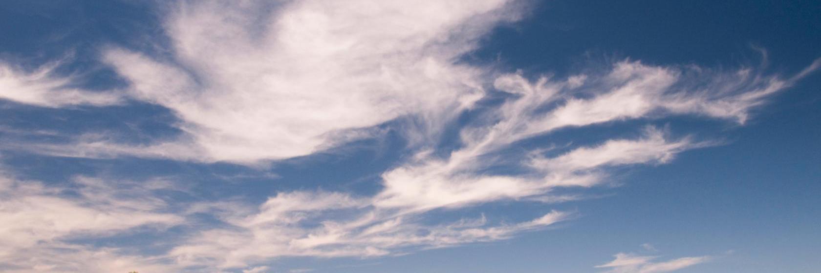 Comfort Executive Inn