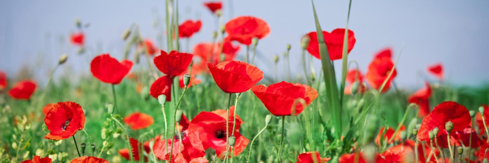 Najlepsze dostępne hotele i obiekty noclegowe w pobliżu miasta La