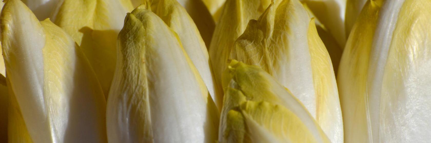 Fourmies フランス の人気ホテルをお得に予約