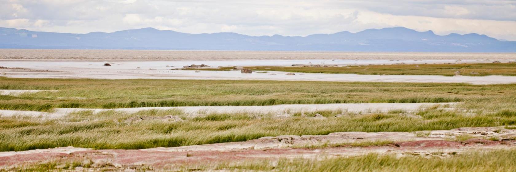 The best available hotels & places to stay near SaintJeanPortJoli