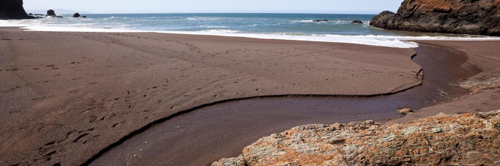 Americas Best Value Inn  Corte Madera