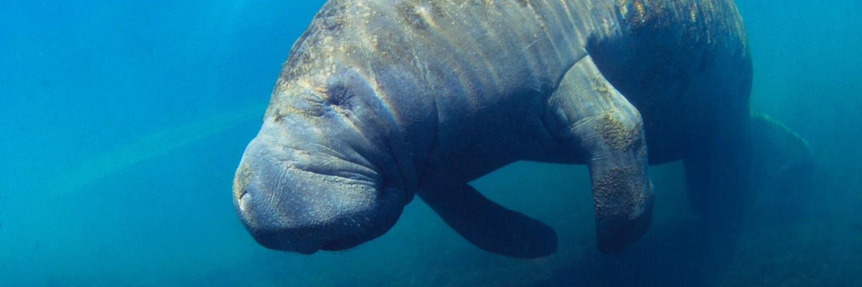 The best available hotels & places to stay near Ellenton, FL