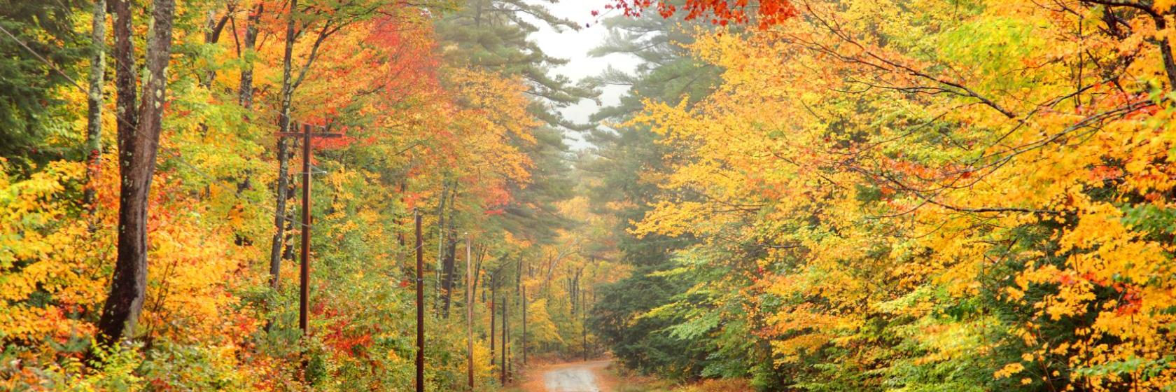 The best available hotels & places to stay near Center Conway, NH