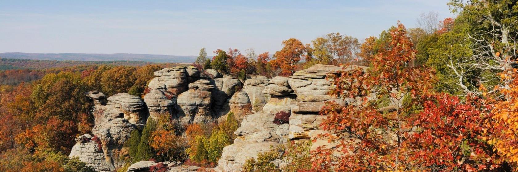 The 10 Best Carbondale Hotels (From 81)