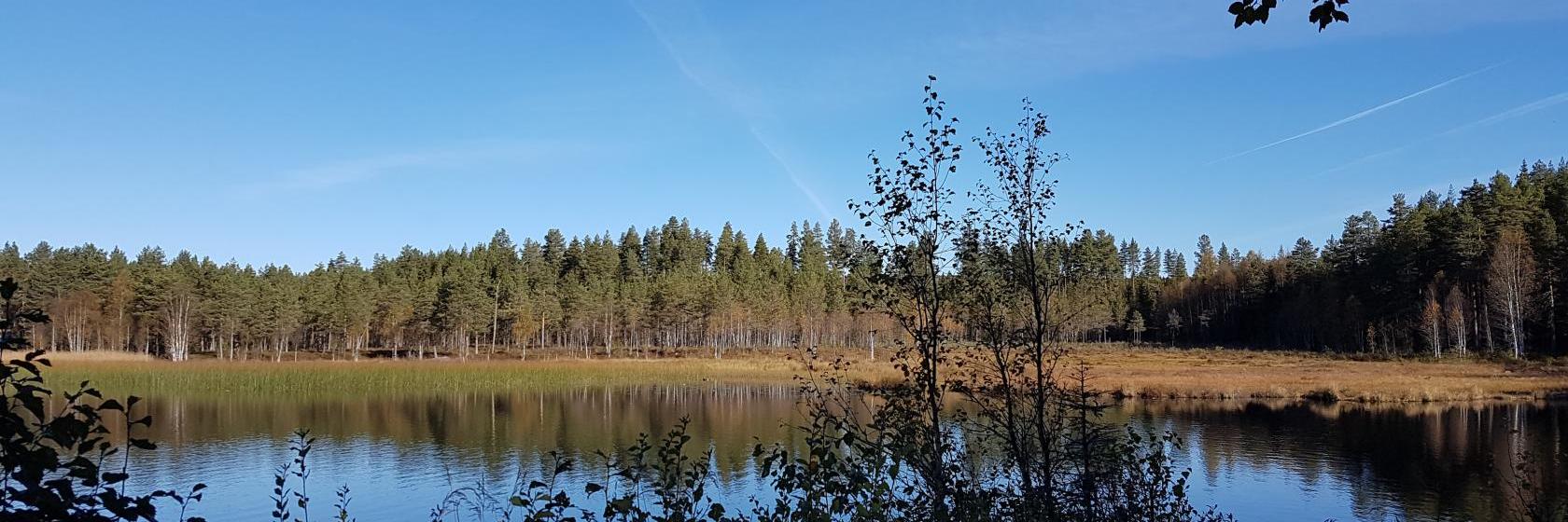 oslo singel treff