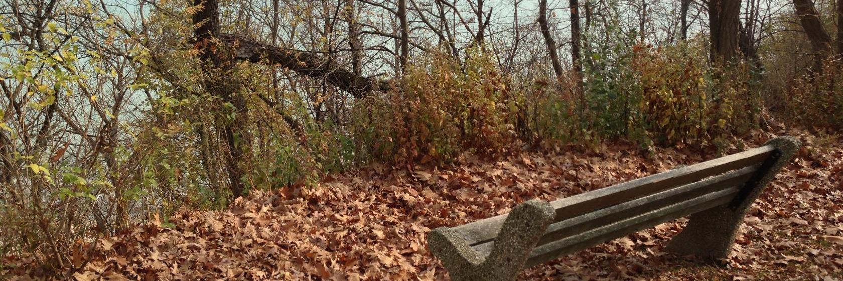 Americas Best Value InnGrain Valley