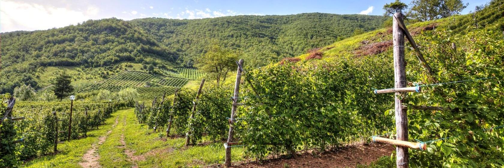 The 10 best hotels & places to stay in Bugojno, Bosnia and Herzegovina