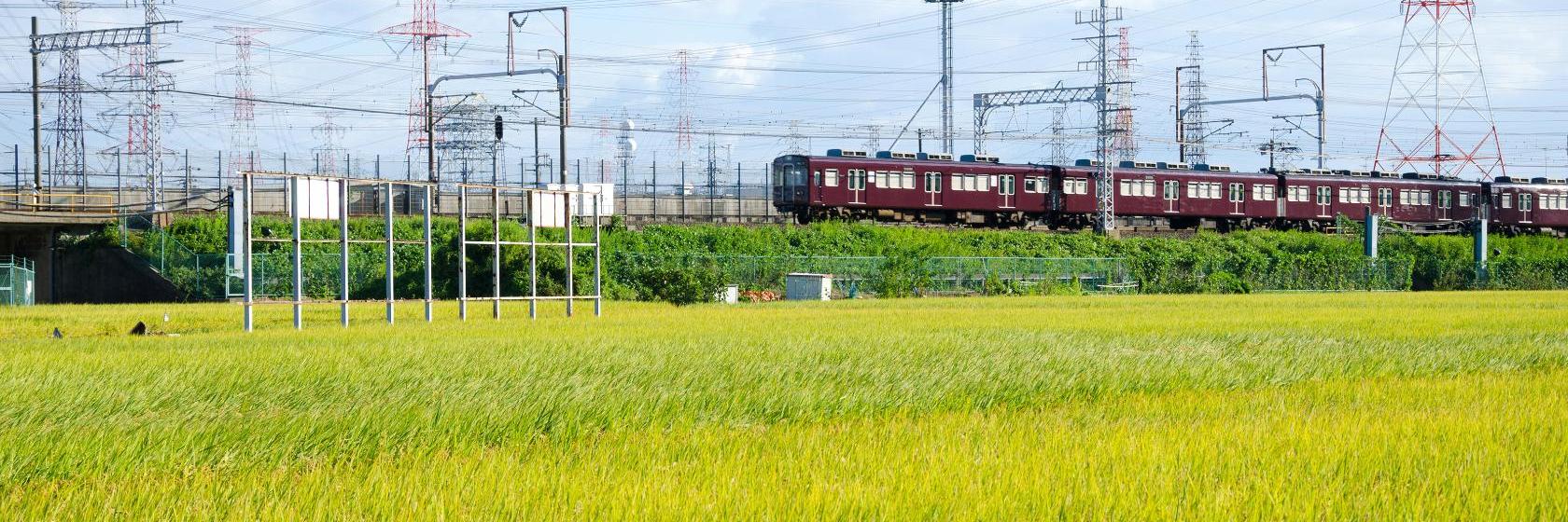 者 感染 高槻 市