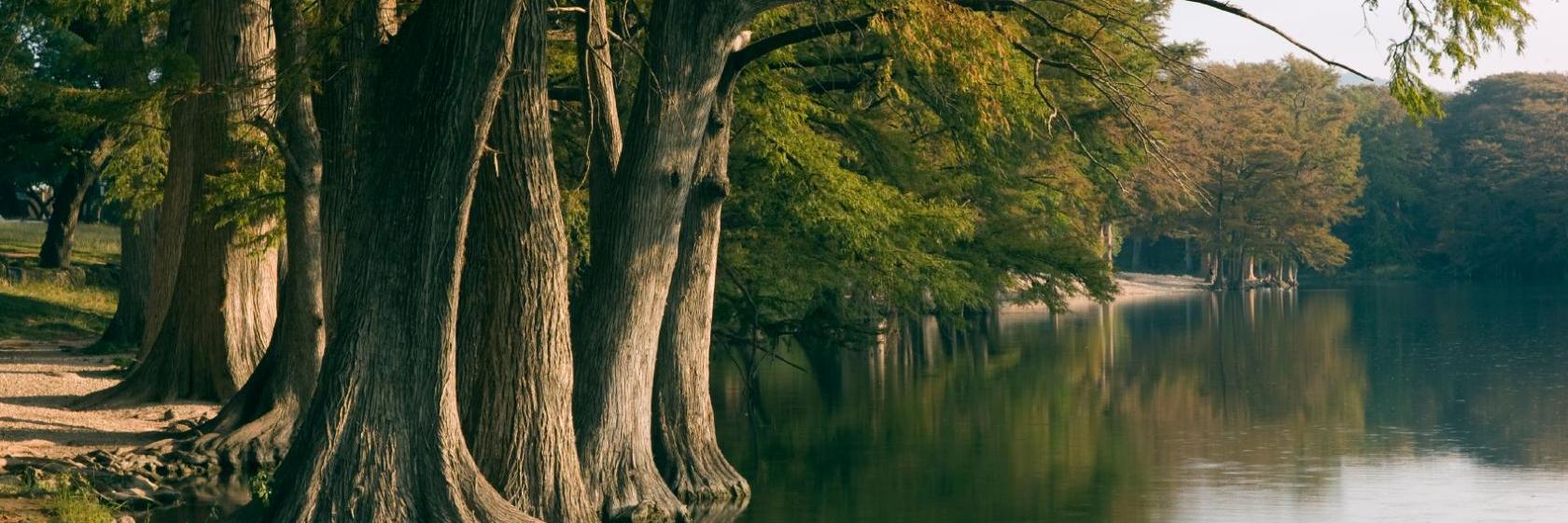 Executive InnandSuites San Marcos