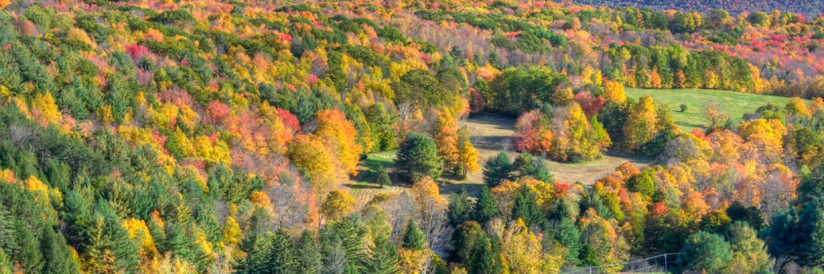 Northside Motel  Williamstown