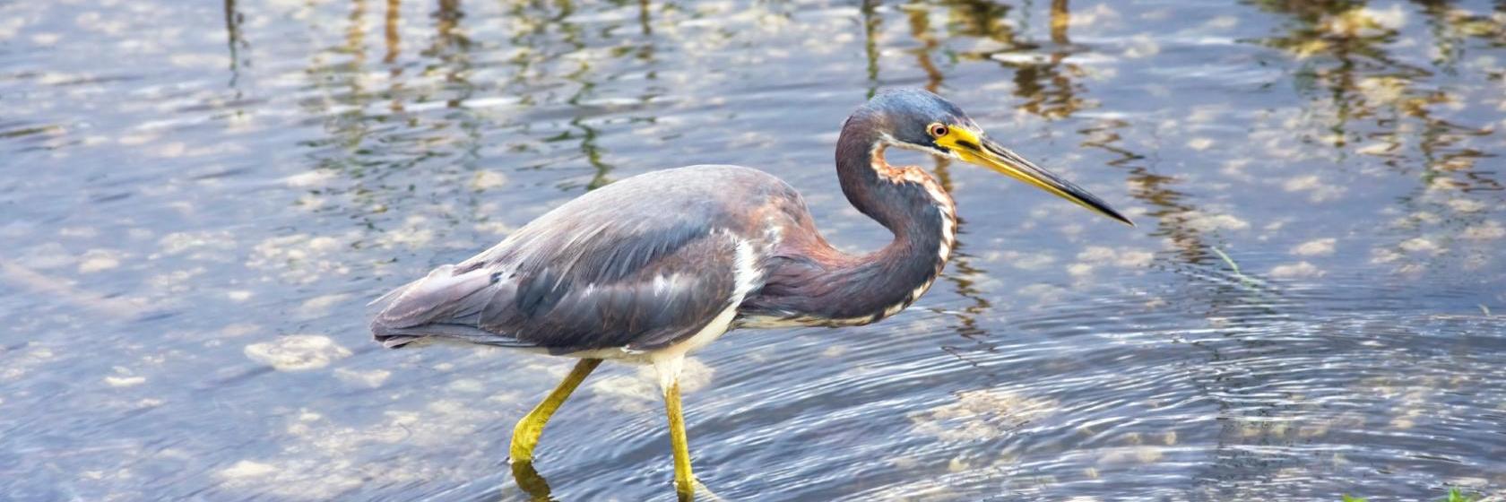 The best available hotels & places to stay near DeBary, FL