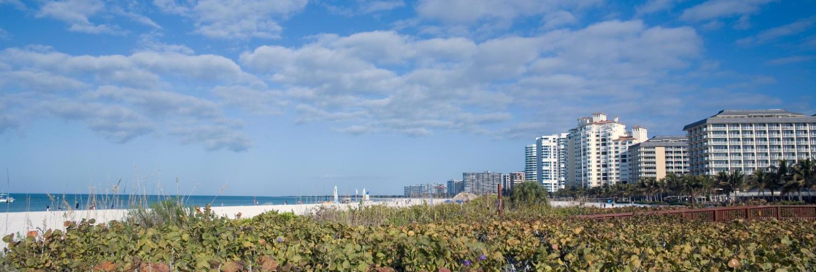 The 10 Best Estero Hotels (From $144) The 10 Best Estero Hotels (From $144)