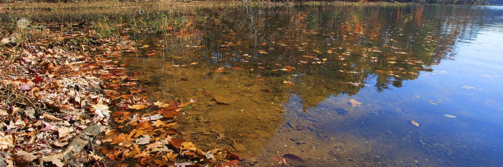 The 10 Best Morrisville Hotels (From 79)