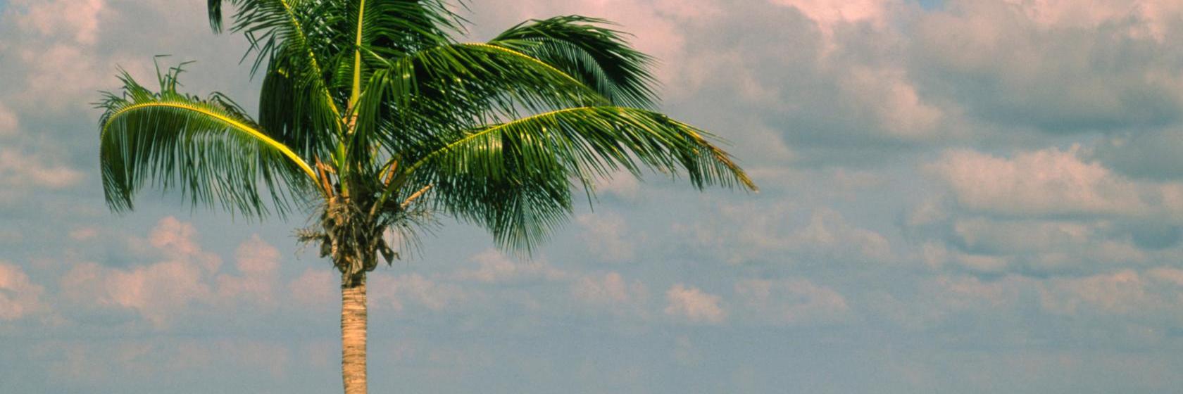 Camelot Waterfront Inn