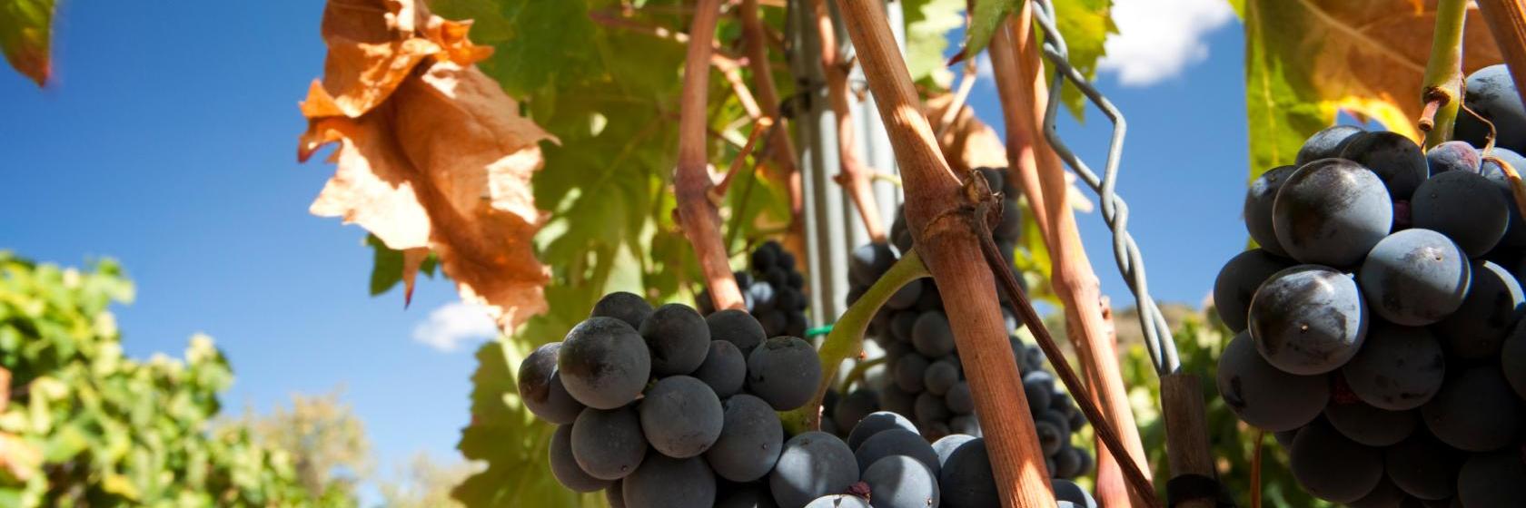 The best available hotels & places to stay near Lécera, Spain