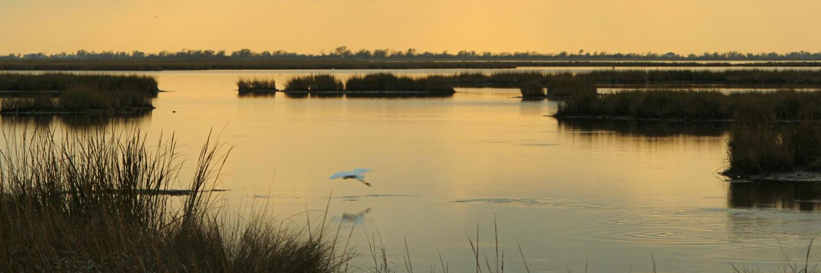 Quality Inn La Place