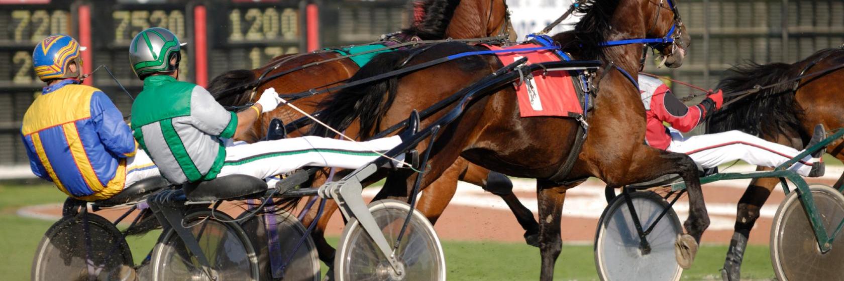 The 10 Best Monticello Hotels (From $79)