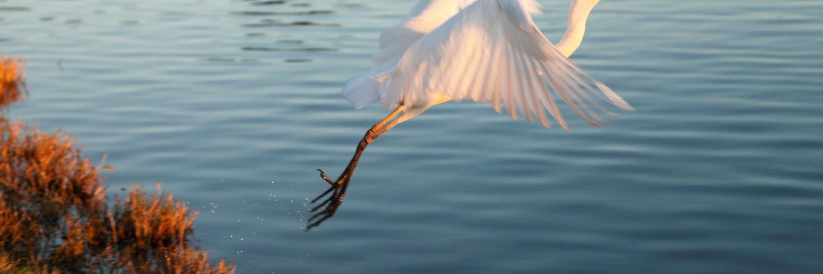 The 10 Best Waldorf Hotels (From $92)