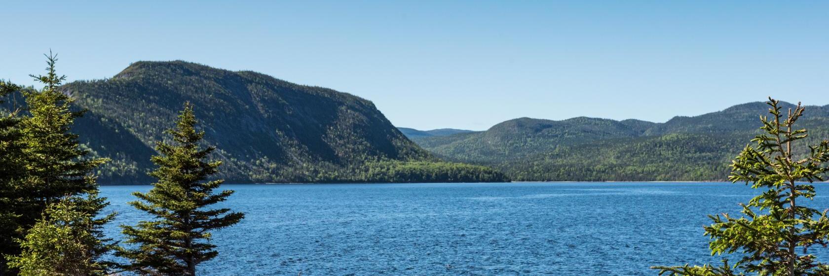 The best available hotels & places to stay near Bonne Bay Pond, Canada