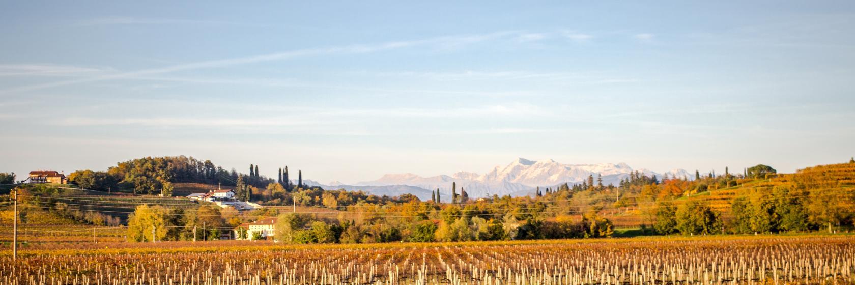 Die 10 besten Hotels in Buttrio, Italien (Ab € 98)