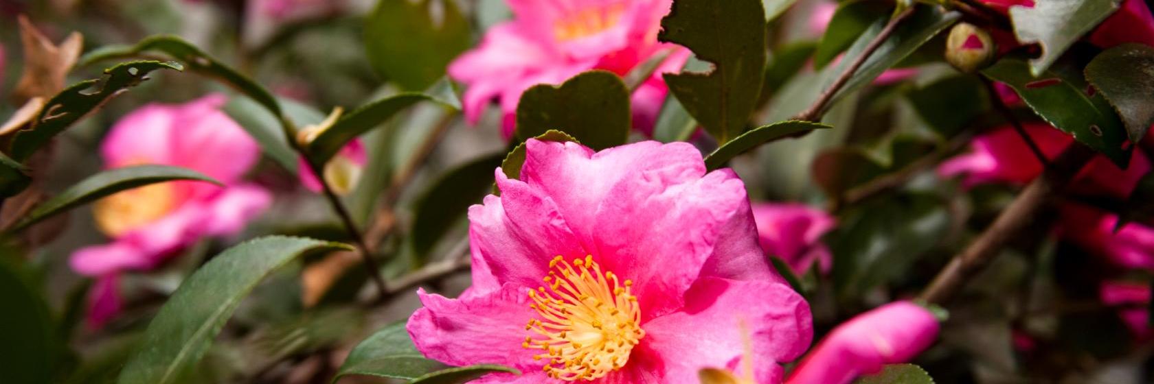 The Best Hornsby Hotels, Australia (From 85)