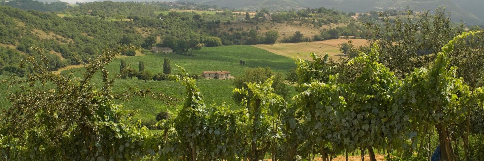 I 10 migliori hotel di Fiano Romano (da € 85)