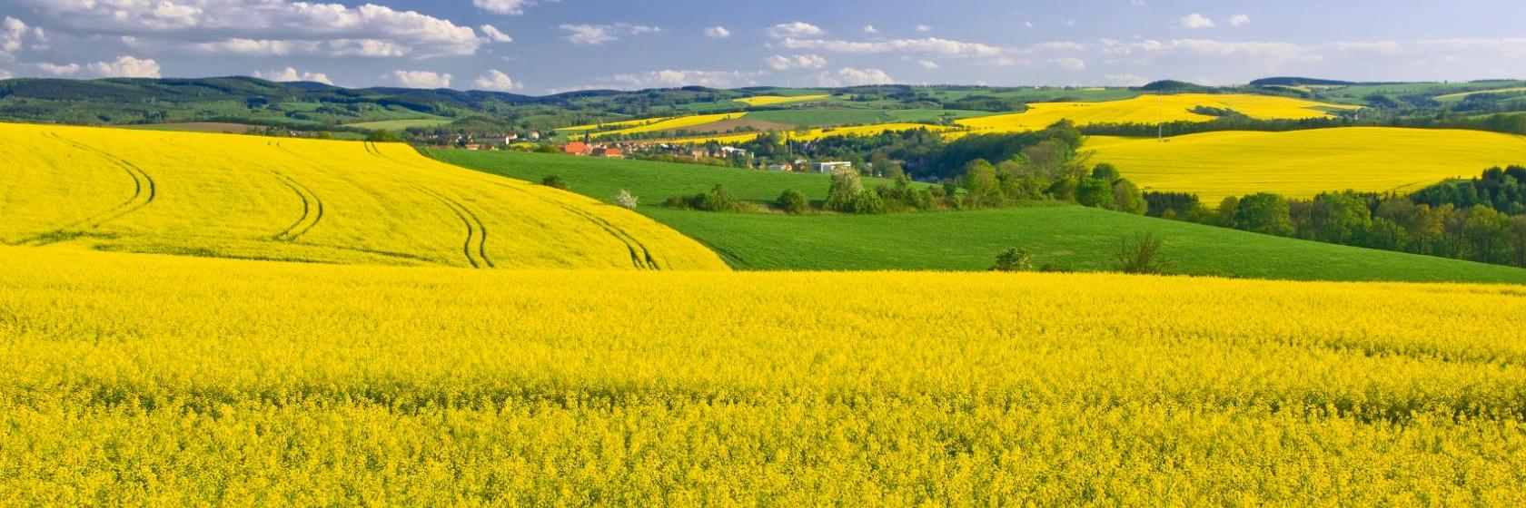 The best available hotels & places to stay near Weißenberg, Germany