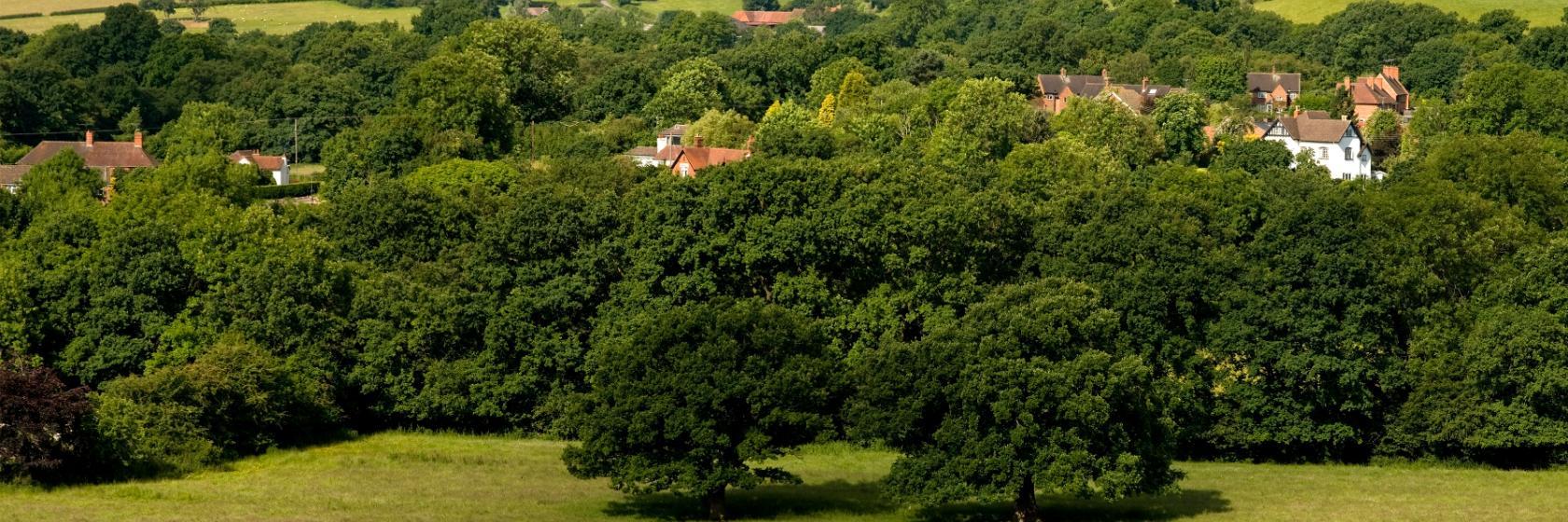 The best available hotels & places to stay near Wellesbourne Hastings