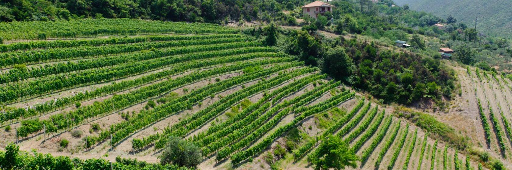 10 Best Novi Ligure Hotels, Italy (From 76)